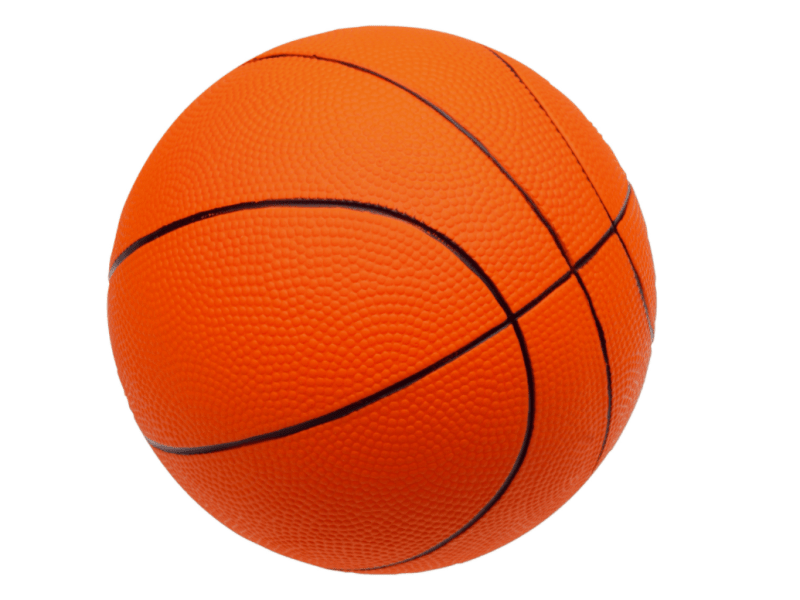 LO docenten en studenten gezocht voor basketbal&nbsp;project